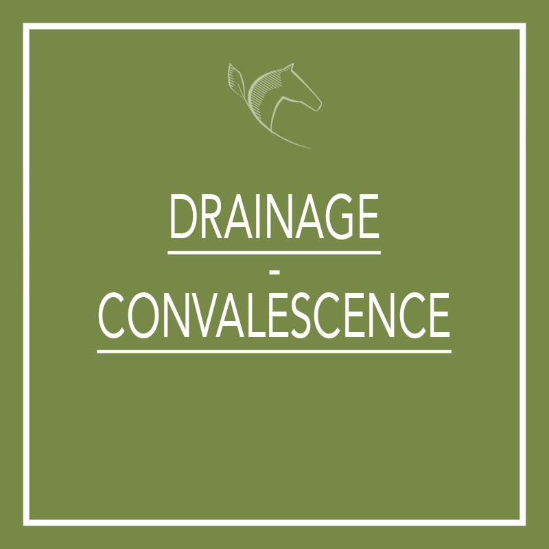 Drainage / Convalescence