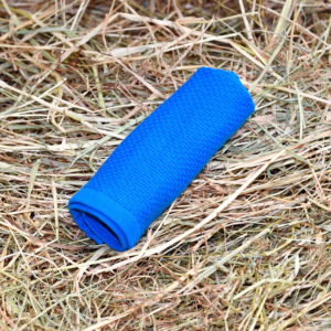 Serviette - Carré bleu