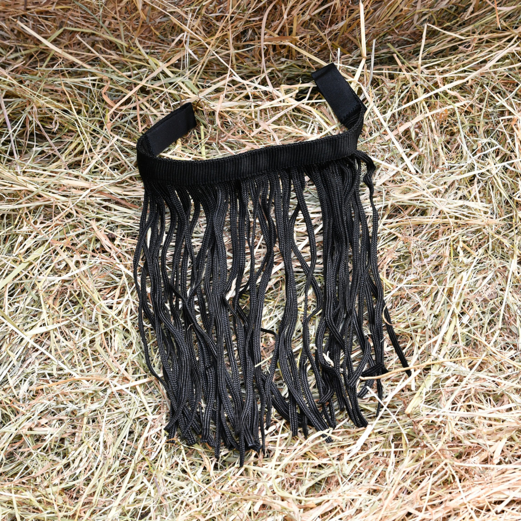 Frontal chasse-mouches