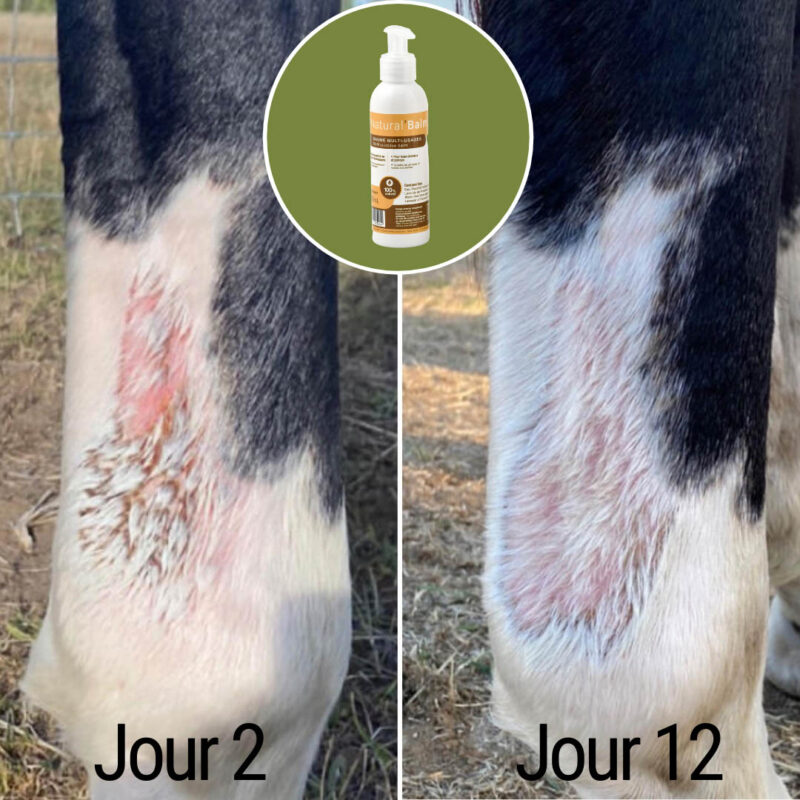 Natural'Balm – Image 9