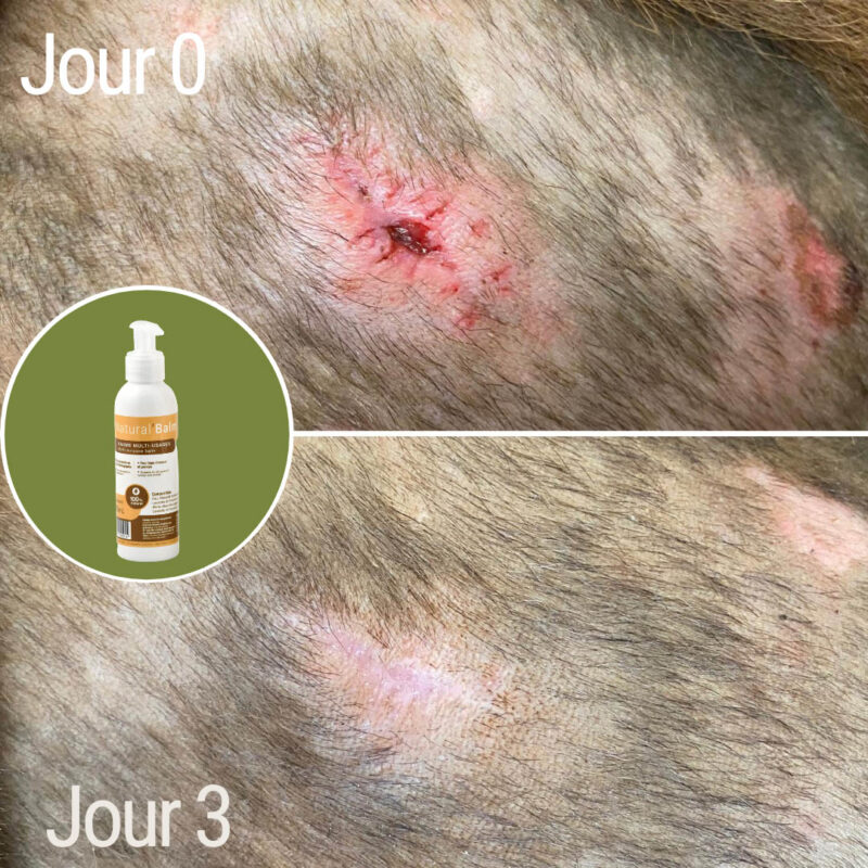 Natural'Balm – Image 8