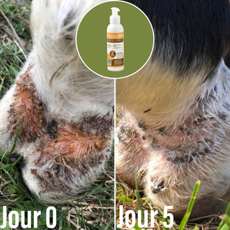 Natural'Balm – Image 7