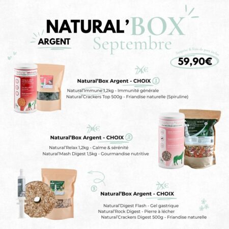 Natural'Box (Argent)