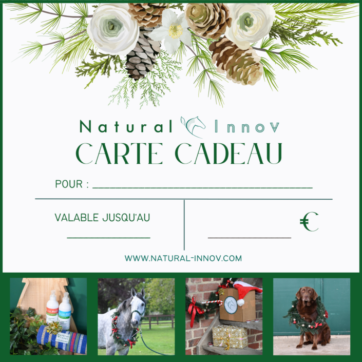 Carte Cadeau