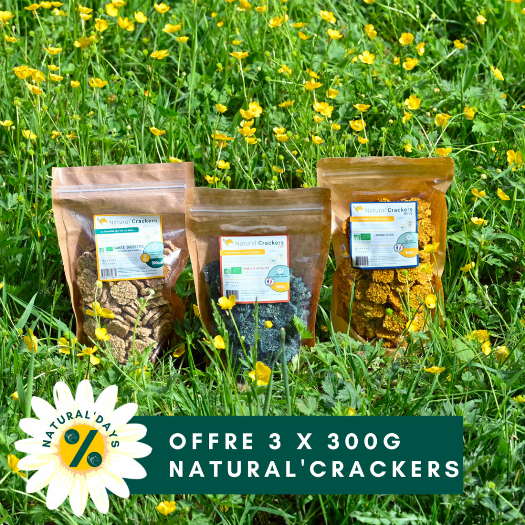 Offre 3 x 300 g - Natural'Crackers
