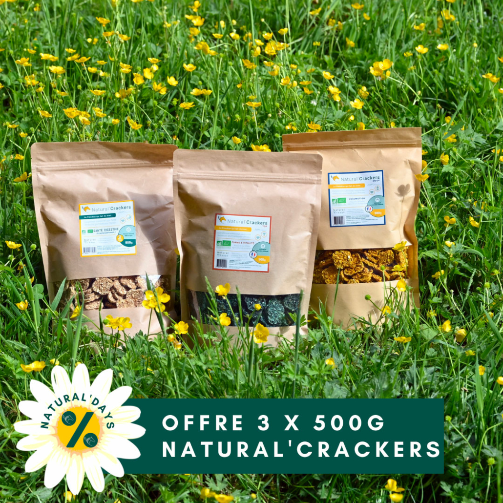 Offre 3 x 500 g - Natural'Crackers