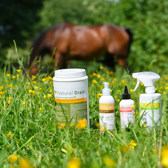 offre-kit-pature