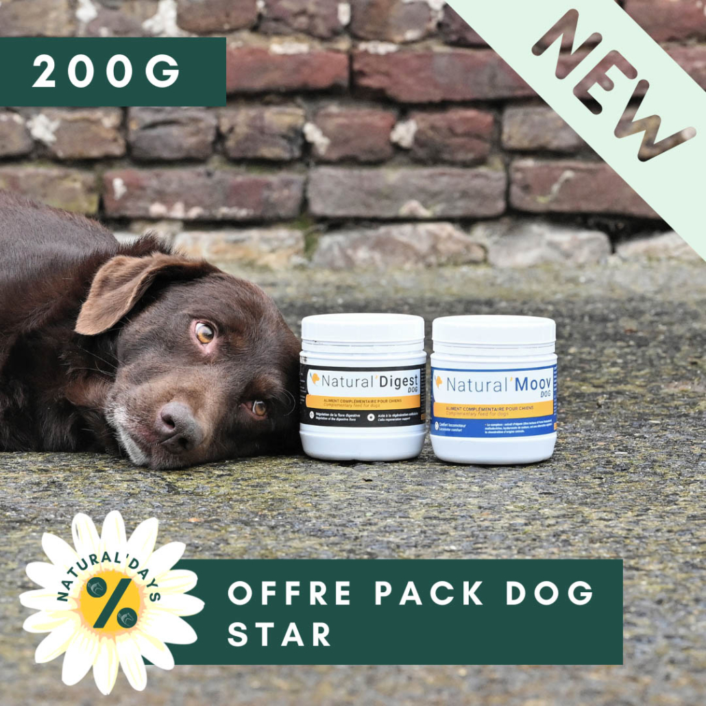 Offre Pack Dog Star 200 g