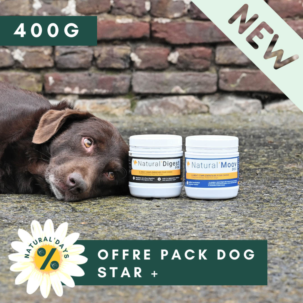 Offre Pack Dog Star+ 400 g