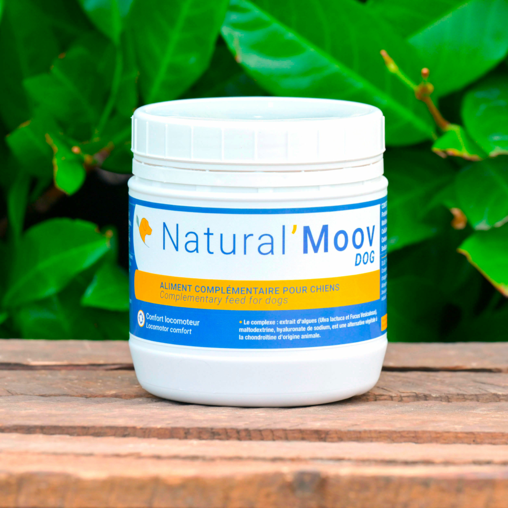 Natural'Moov DOG (200 g-400 g)
