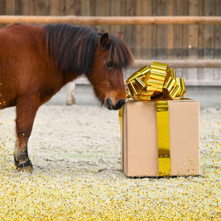 Natural'Christmas GOLD