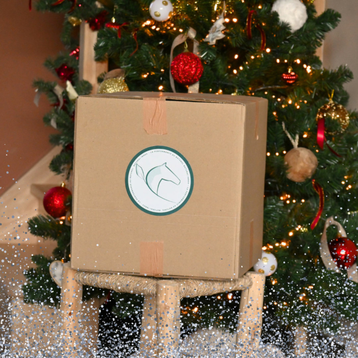 Natural'Christmas SILVER