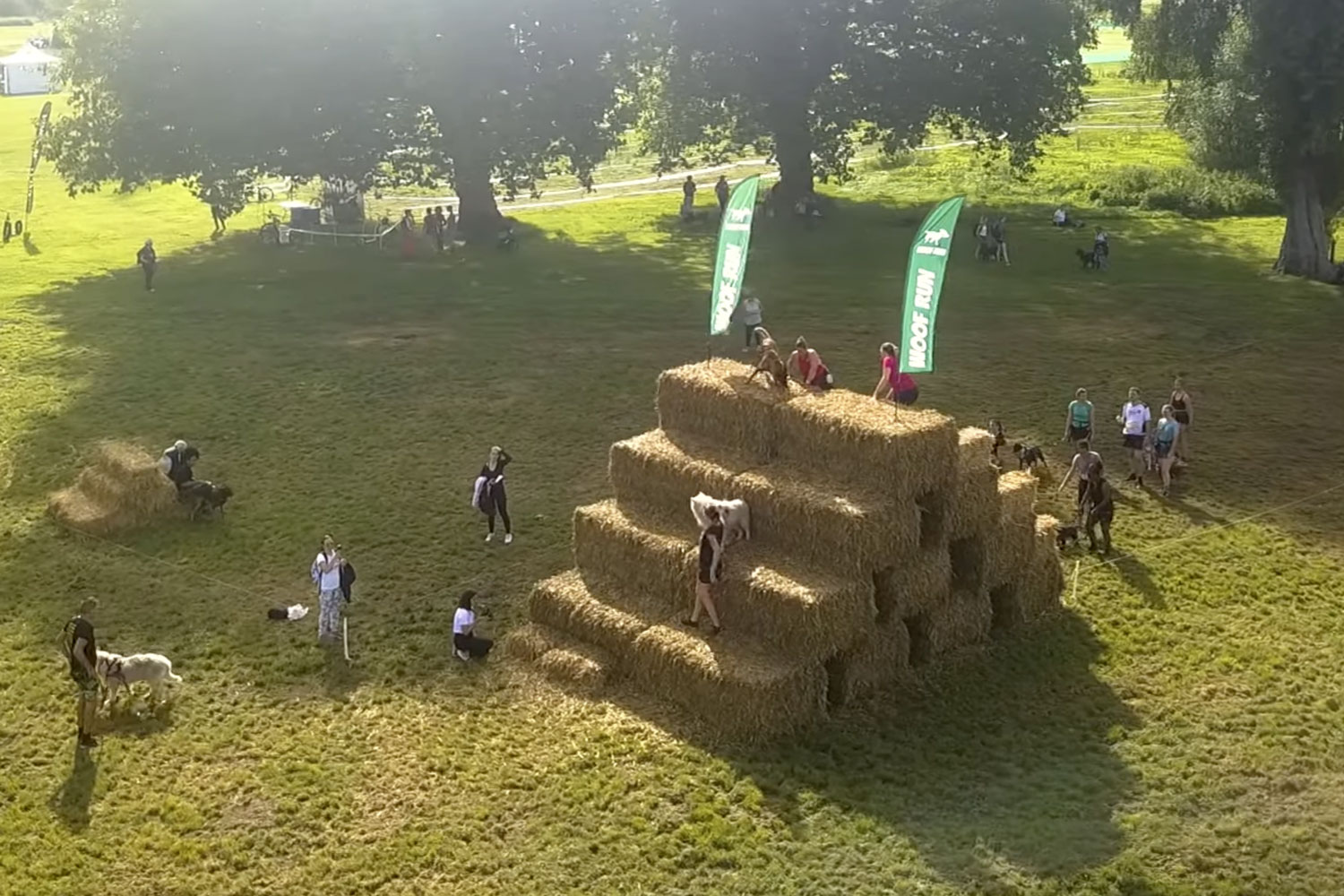 Woofest Lille