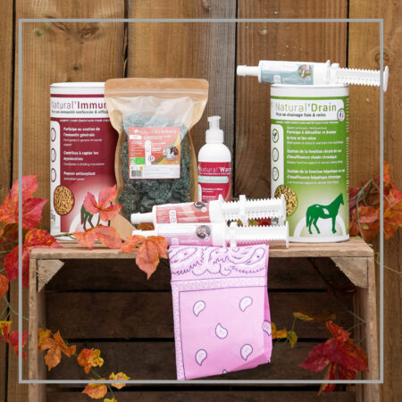 Natural'Box (Argent)