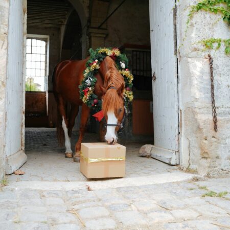 Calendrier de l’Avent – Natural’Christmas GOLD – 2025