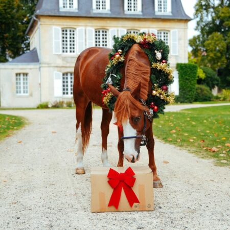 Calendrier de l’Avent – Natural’Christmas SILVER – 2025