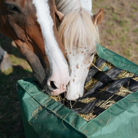 Natural’Kub – ANTI-GASPI