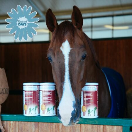 Natural'Immune : 2 achetés = 1 offert !