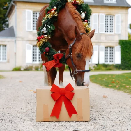 Calendrier de l’Avent – Natural’Christmas ADDICT – 2026